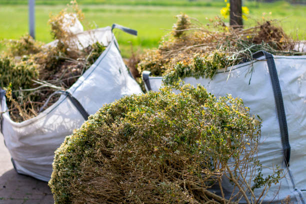 Reliable Maple Plain, MN Junk Removal Services Solutions